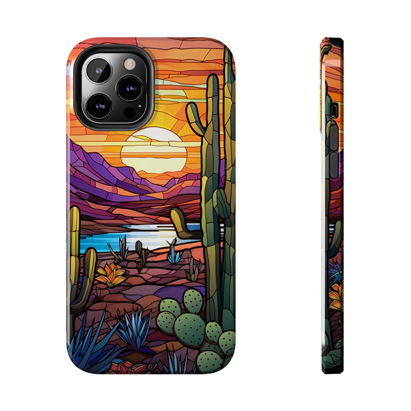 Cactus Desert Sunset