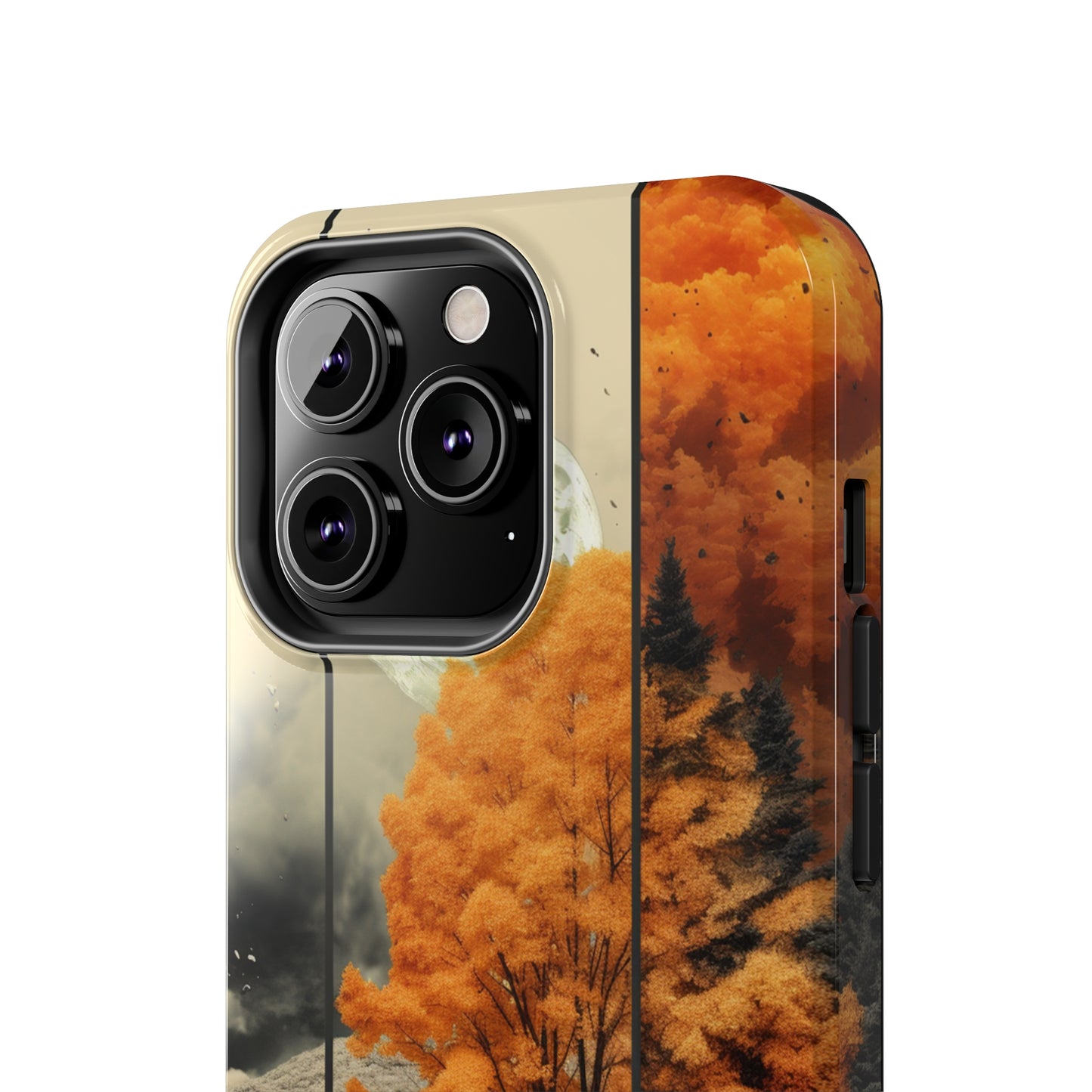 Fall Colors case for iPhone 14 13 12 11 Pro Max case iPhone XR XS Max Case iPhone X Case iPhone 7 Plus iPhone 8 Plus case iPhone 6 case