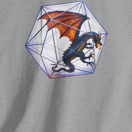 fantasy d20 dragon tabletop rpg t shirt