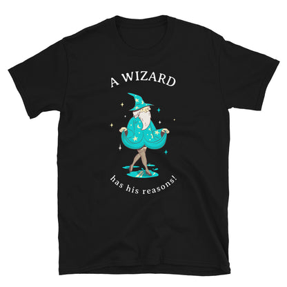 Humorous Gay Wizard Quote T-Shirt